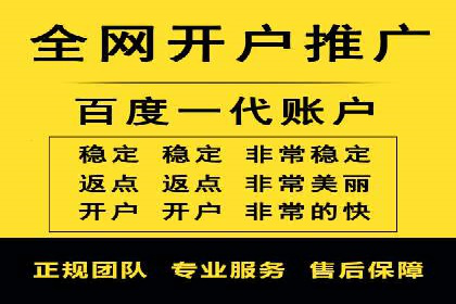 网络推广与竞价广告：双管齐下的策略案例